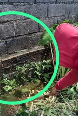 DLH Kabupaten Madiun Pantau Seluruh SPPG Terkait Dugaan Pencemaran Limbah