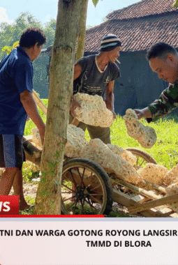 TNI dan Warga Gotong Royong Langsir Material Pra TMMD di Blora