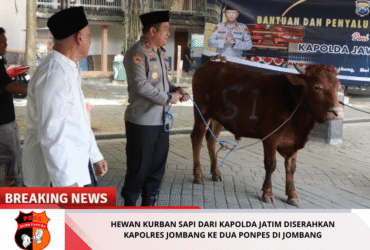 headline-foto