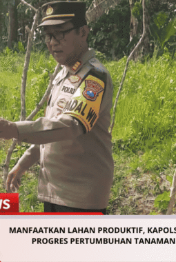 Manfaatkan Lahan Produktif, Kapolsek Kudu Tinjau Progres Pertumbuhan Tanaman Uwi Ungu