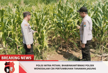 headline-foto