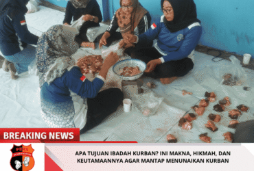 headline-foto