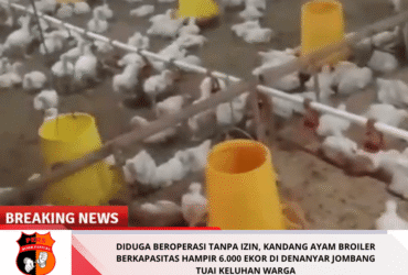 headline-foto