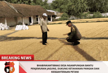 headline-foto