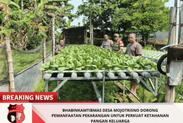 headline-foto