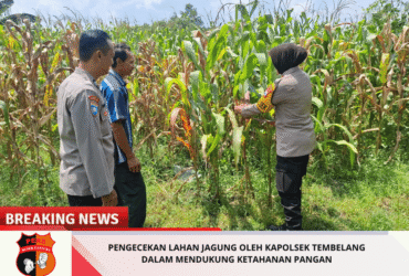 headline-foto