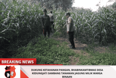 headline-foto