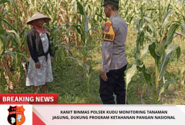 headline-foto