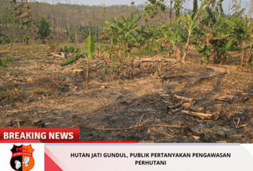 headline-foto