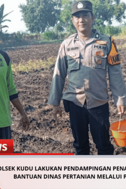Polsek Kudu Lakukan Pendampingan Penanaman Benih Jagung Bantuan Dinas Pertanian Melalui Polres Jombang