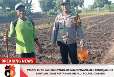 headline-foto